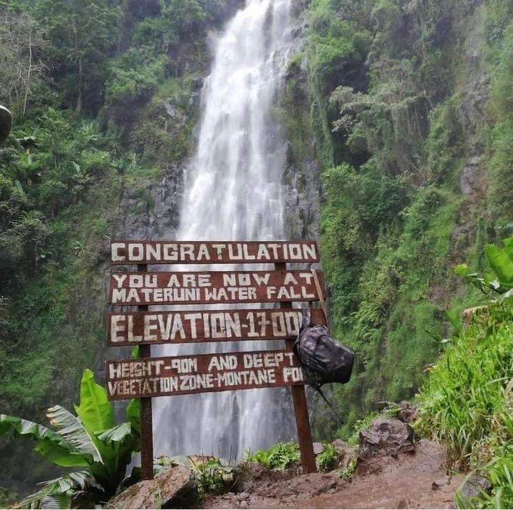 5-Day Serengeti, Ngorongoro & Materuni Falls